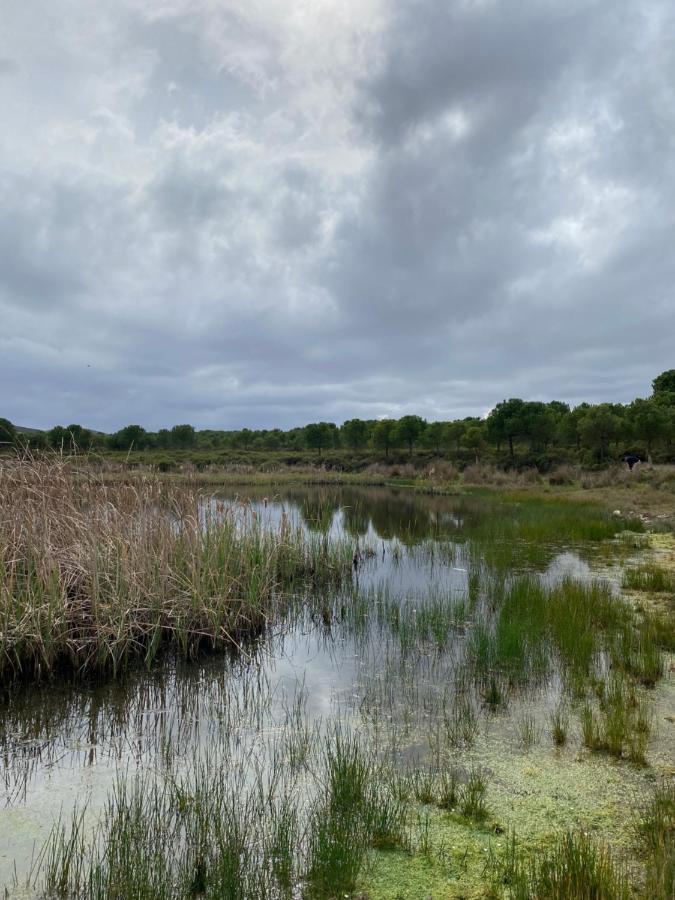 Herdade De Alagaes Mértola Kültér fotó